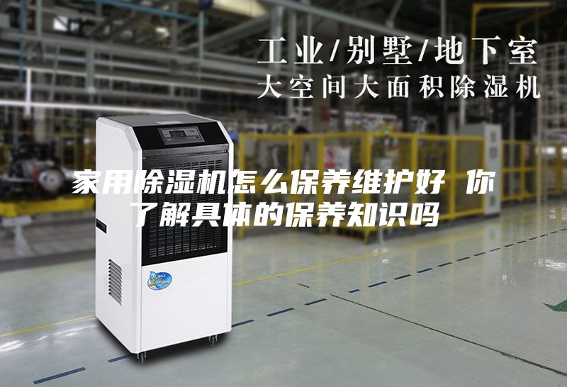 家用除湿机怎么保养维护好 你了解具体的保养知识吗