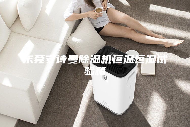 东莞安诗曼除湿机恒温恒湿试验箱