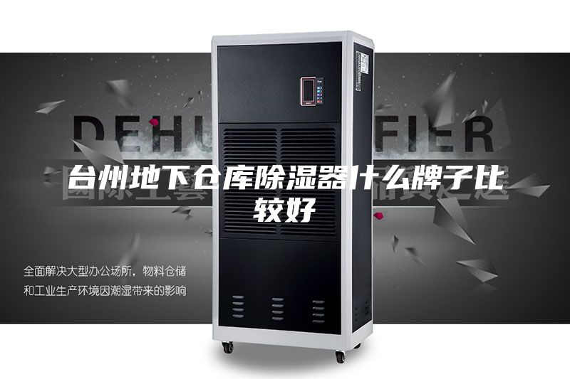 台州地下仓库除湿器什么牌子比较好