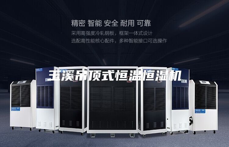 玉溪吊顶式恒温恒湿机