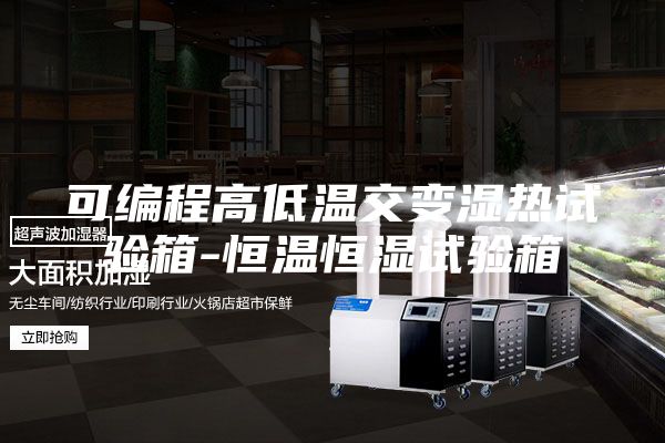 可编程高低温交变湿热试验箱-恒温恒湿试验箱
