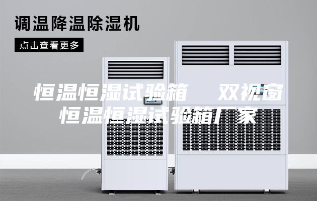 恒温恒湿试验箱  双视窗恒温恒湿试验箱厂家