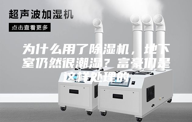 为什么用了除湿机，地下室仍然很潮湿？富豪们是这样处理的