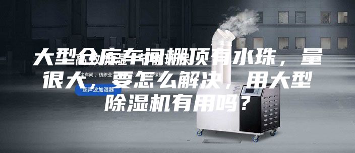 大型仓库车间棚顶有水珠，量很大，要怎么解决，用大型除湿机有用吗？
