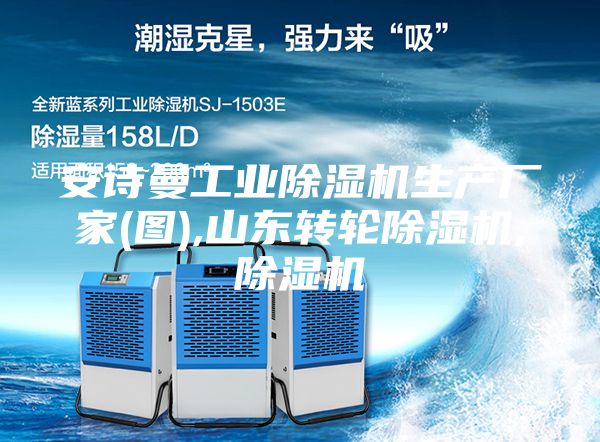 安诗曼工业除湿机生产厂家(图),山东转轮除湿机,除湿机