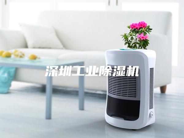 深圳工业除湿机