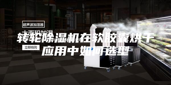 转轮除湿机在软胶囊烘干应用中如何选型