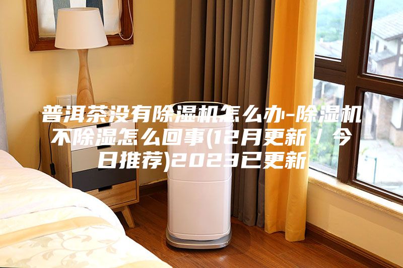 普洱茶没有除湿机怎么办-除湿机不除湿怎么回事(12月更新／今日推荐)2023已更新