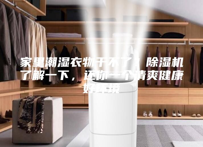 家里潮湿衣物干不了？除湿机了解一下，还你一个清爽健康好环境