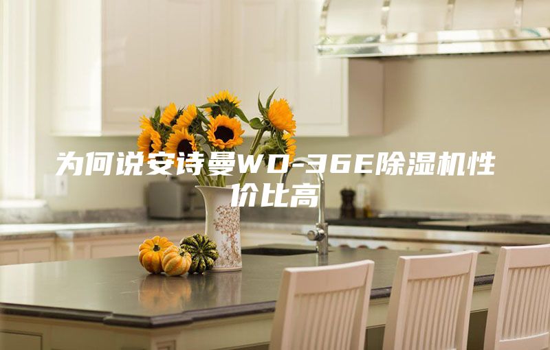 为何说安诗曼WD-36E除湿机性价比高