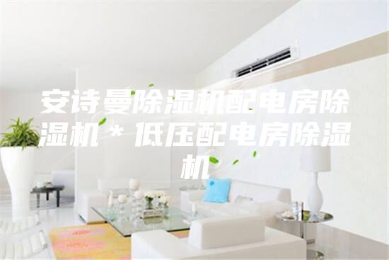 安诗曼除湿机配电房除湿机＊低压配电房除湿机