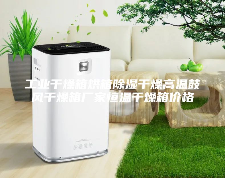 工业干燥箱烘箱除湿干燥高温鼓风干燥箱厂家恒温干燥箱价格