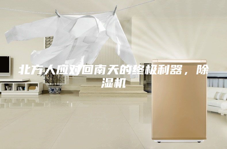 北方人应对回南天的终极利器，除湿机