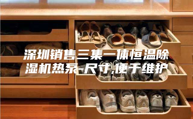 深圳销售三集一体恒温除湿机热泵-尺寸,便于维护