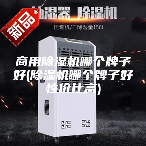 商用除湿机哪个牌子好(除湿机哪个牌子好性价比高)
