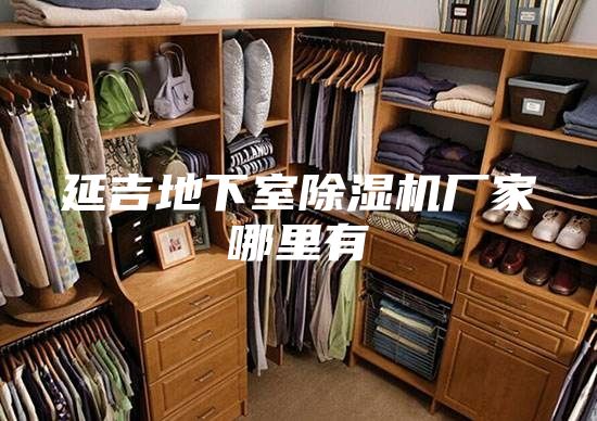 延吉地下室除湿机厂家哪里有