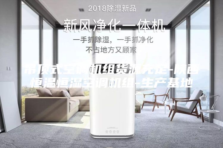 吊顶式空调机组货源充足-陕西恒温恒湿空调机组-生产基地