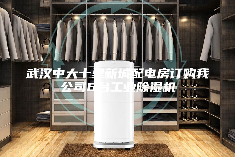 武汉中大十里新城配电房订购我公司6台工业除湿机
