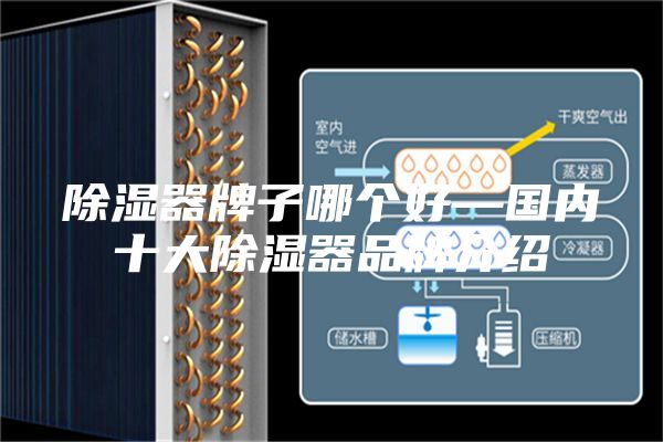 除湿器牌子哪个好—国内十大除湿器品牌介绍