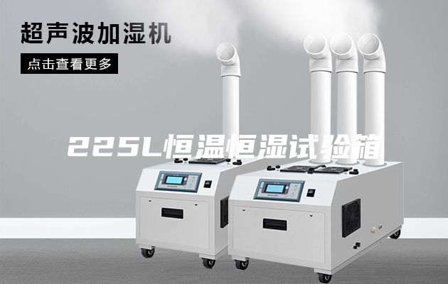 225L恒温恒湿试验箱