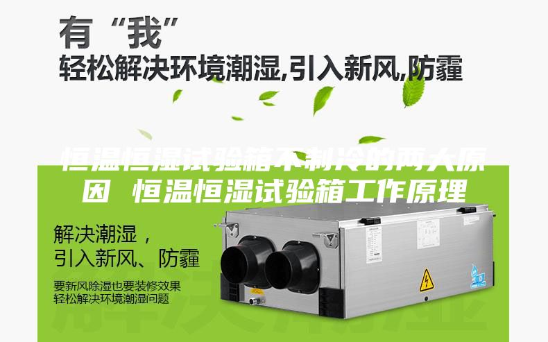 恒温恒湿试验箱不制冷的两大原因 恒温恒湿试验箱工作原理
