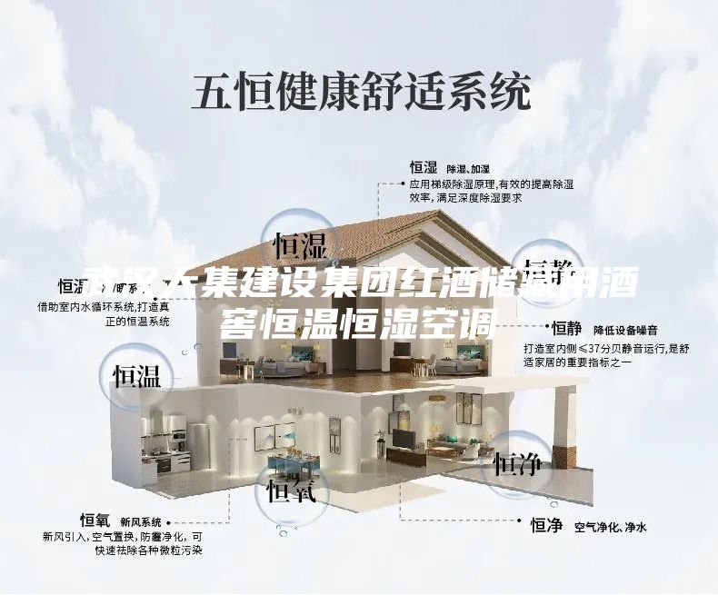 武汉大集建设集团红酒储藏用酒窖恒温恒湿空调