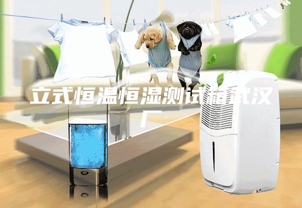 立式恒温恒湿测试箱武汉厂