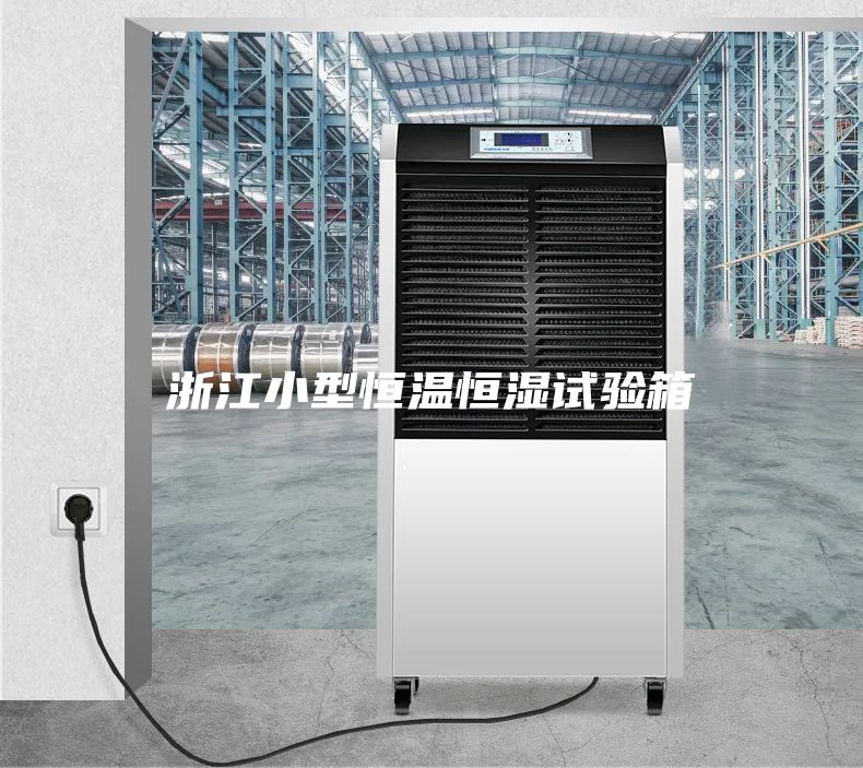 浙江小型恒温恒湿试验箱