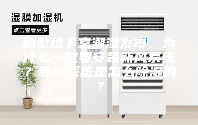别墅地下室潮湿发霉，为什么一定要安装新风系统？新风系统是怎么除湿的？