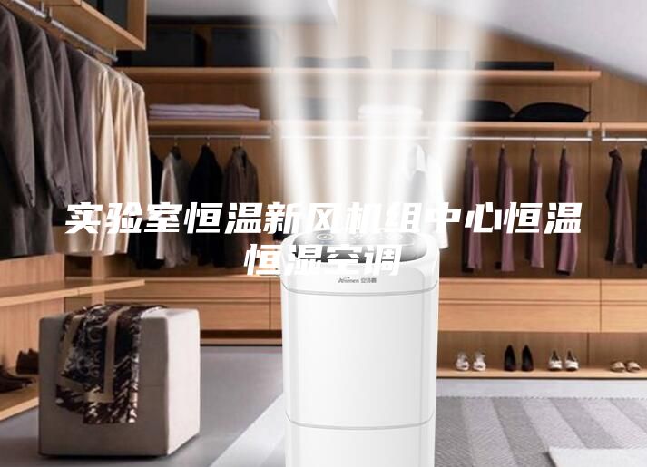 实验室恒温新风机组中心恒温恒湿空调