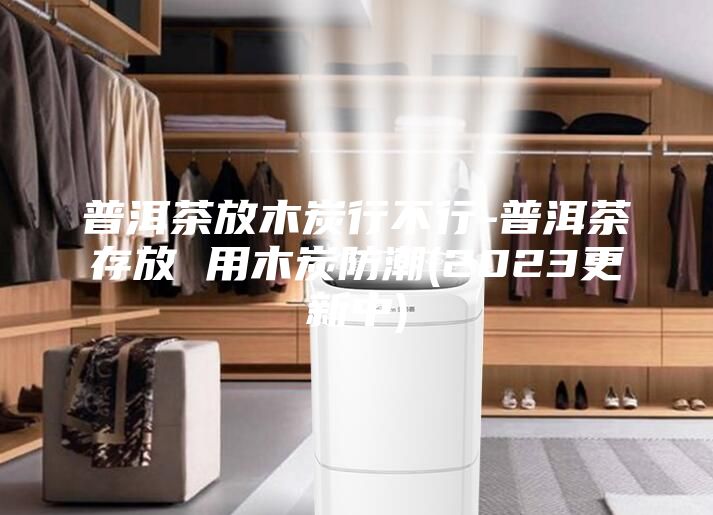 普洱茶放木炭行不行-普洱茶存放 用木炭防潮(2023更新中)