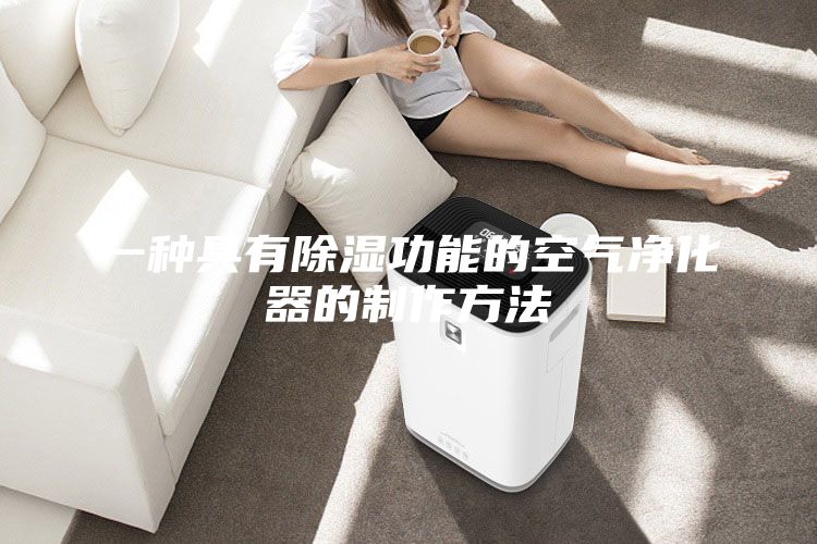 一种具有除湿功能的空气净化器的制作方法