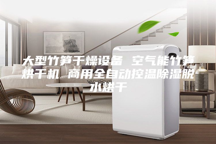 大型竹笋干燥设备 空气能竹笋烘干机 商用全自动控温除湿脱水烘干