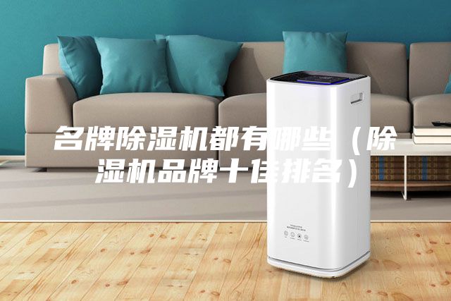 名牌除湿机都有哪些（除湿机品牌十佳排名）