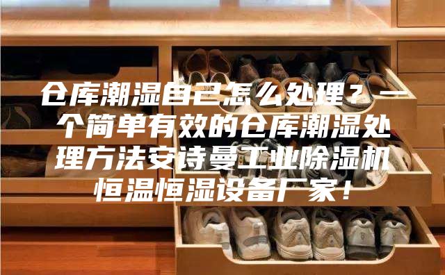 仓库潮湿自己怎么处理？一个简单有效的仓库潮湿处理方法安诗曼工业除湿机恒温恒湿设备厂家！