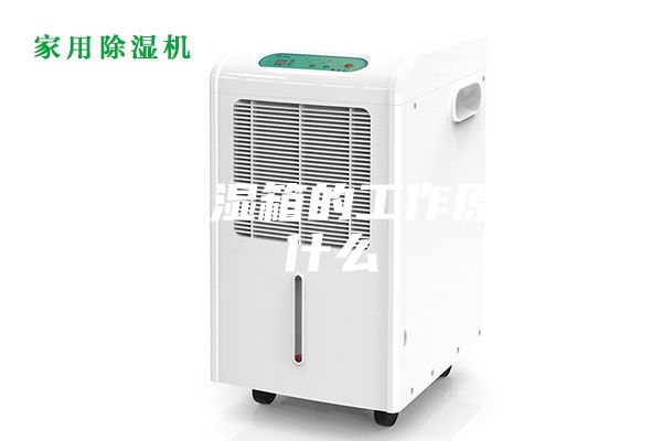 恒温恒湿箱的工作原理是什么