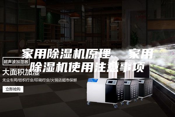 家用除湿机原理  家用除湿机使用注意事项