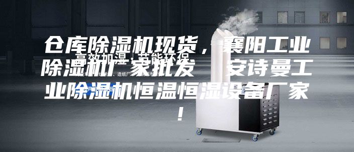 仓库除湿机现货，襄阳工业除湿机厂家批发  安诗曼工业除湿机恒温恒湿设备厂家！