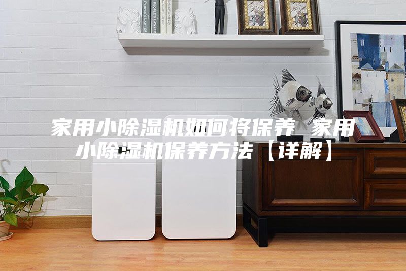 家用小除湿机如何将保养 家用小除湿机保养方法【详解】