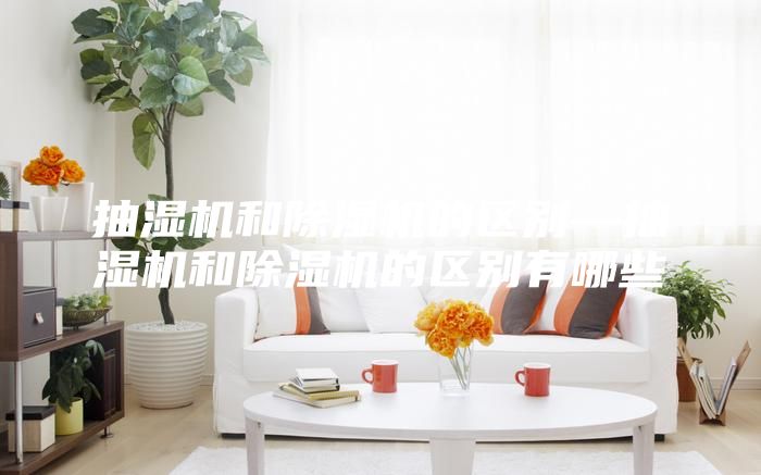 抽湿机和除湿机的区别—抽湿机和除湿机的区别有哪些