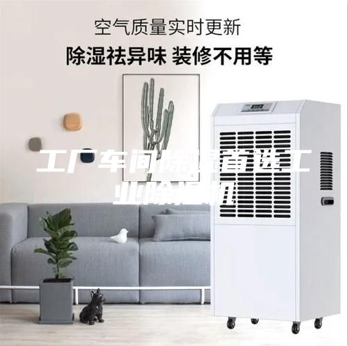 工厂车间除湿首选工业除湿机