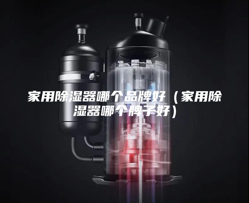 家用除湿器哪个品牌好（家用除湿器哪个牌子好）