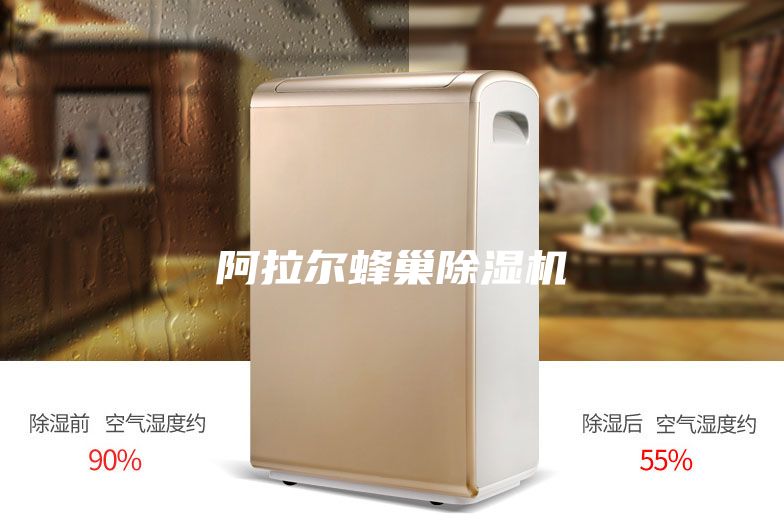 阿拉尔蜂巢除湿机