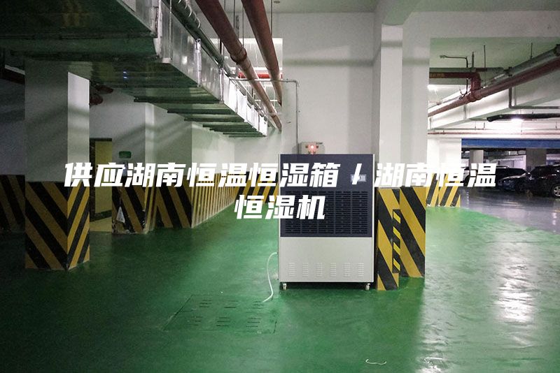 供应湖南恒温恒湿箱／湖南恒温恒湿机