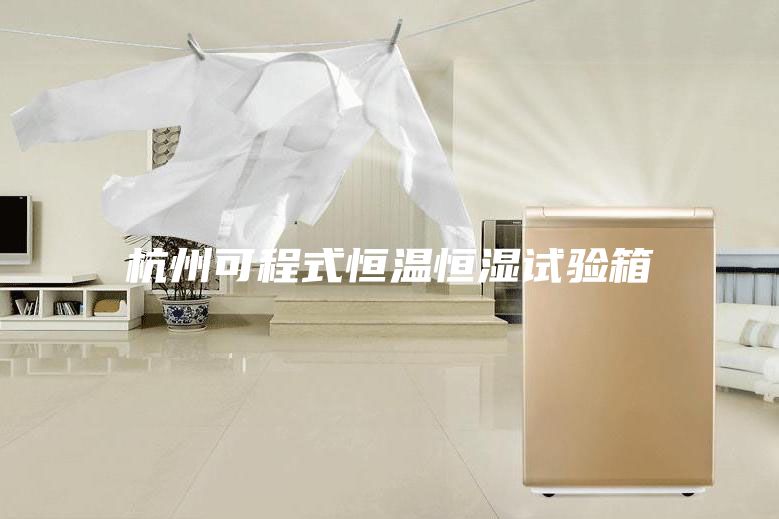 杭州可程式恒温恒湿试验箱