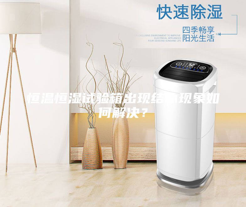恒温恒湿试验箱出现结冰现象如何解决？