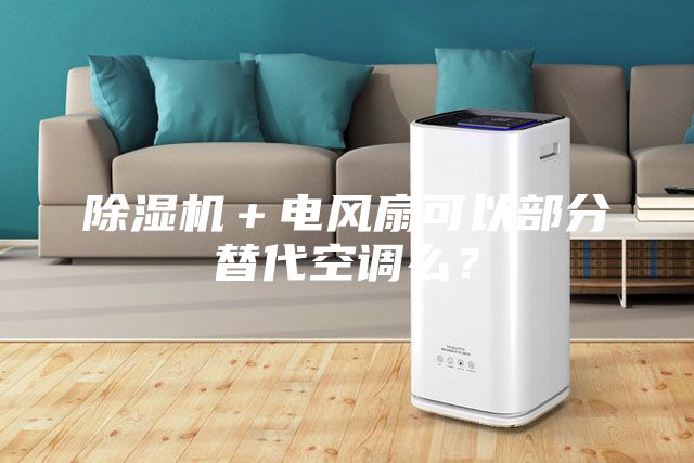 除湿机＋电风扇可以部分替代空调么？