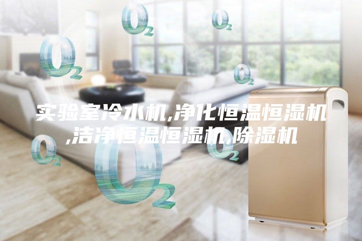 实验室冷水机,净化恒温恒湿机,洁净恒温恒湿机,除湿机