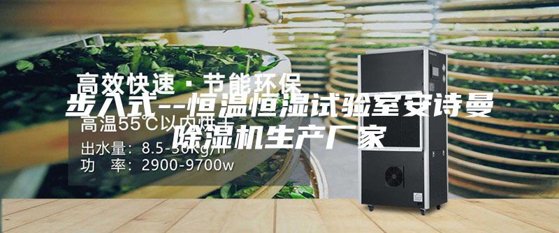 步入式--恒温恒湿试验室安诗曼除湿机生产厂家