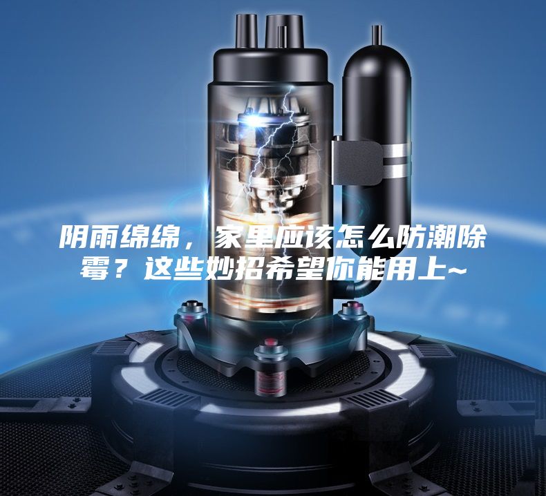 阴雨绵绵，家里应该怎么防潮除霉？这些妙招希望你能用上~